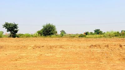 Image of 4500 Sq.ft Residential Plot / Land for sale in Chhata, Mathura for Rs. 7250000