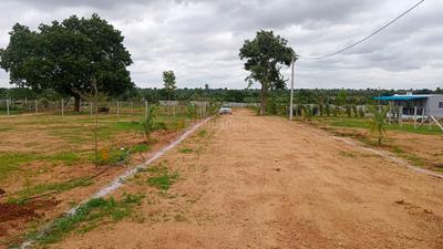 Image of 242 Sq.ft Residential Plot / Land for sale in Shadnagar, Ranga Reddy for Rs. 3145758