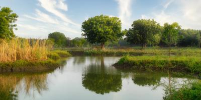 Image of 500 Sq.ft Residential Plot / Land for sale in Bsafal Rethal Greens, Rethal, Ahmedabad for Rs. 2500000