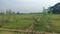 Kamala Nagar Plot View 2