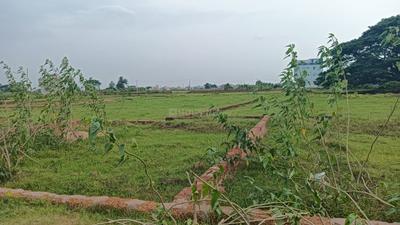 Kamala Nagar Plot View 2