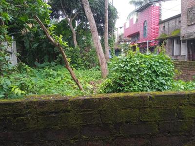 Jagadishpur Plot View 2