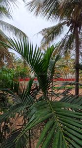 Image of 1220 Sq.ft 2 BHK Apartment / Flat for rent in Sumadhura Anantham, Singasandra, Bengaluru for Rs. 42000