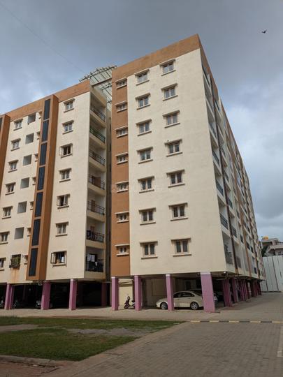 Shanders Dwellington Main Image 1