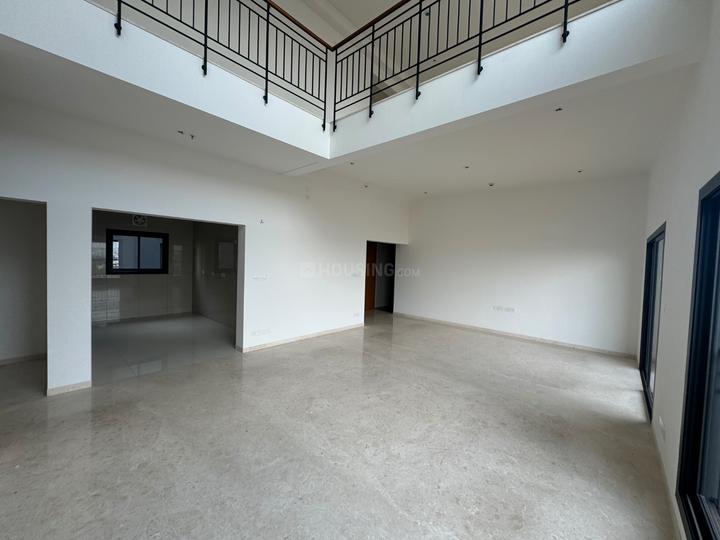 HM Tropical Tree Main Image 1