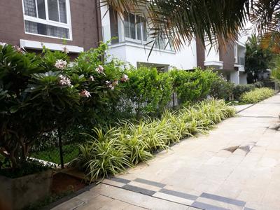 Image of 2000 Sq.ft 4 BHK Villa for rent in KE KEH Seaside Seranade, Uthandi, Chennai for Rs. 150000