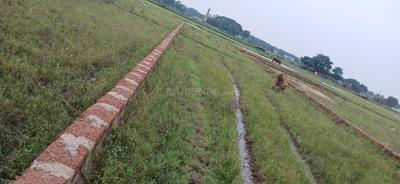 Image of 1200 Sq.ft Residential Plot / Land for sale in Nachhipur, Saindha, Cuttack for Rs. 1500000