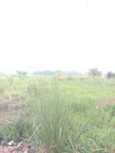 Image of 2880 Sq.ft Residential Plot / Land for sale in Fresco Fountain City Plots, Sankharipota, Raypur for Rs. 1560000