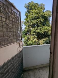 Balcony Image of 800 Sq.ft 2 BHK Builder Floor for rent in Shalimar Bagh New Delhi for Rs. 24000