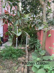 Image of 2900 Sq.ft 5 BHK Independent House for sale in Garia, Sonarpur, Kolkata for Rs. 26000000