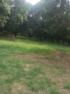 Image of 1000 Sq.ft Residential Plot / Land for sale in Amausi, Lucknow for Rs. 1700000
