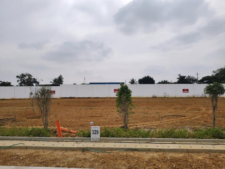 Ruby Sizzle Heritage Main Image 1