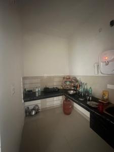 Kitchen Image of 150 Sq.ft 1 BHK Independent House for rent in Fateh Colony Patiala for Rs. 10000
