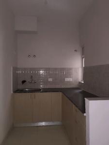 Kitchen Image of 805 Sq.ft 2 BHK Apartment / Flat for sale in Amrapali Dream Valley 2, Noida Extension Greater Noida for Rs. 6500000