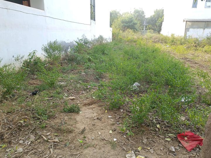 Block C, Sushant Lok Phase 1 Main Image 1