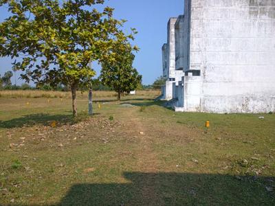 Image of 800 Sq.ft Residential Plot / Land for sale in Mahabalipuram, Chennai for Rs. 1250000