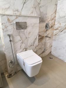 Common Bathroom Image of 2120 Sq.ft 4 BHK Apartment / Flat for sale in Mapsko Mount Ville, Sector 79 Gurgaon for Rs. 32400000