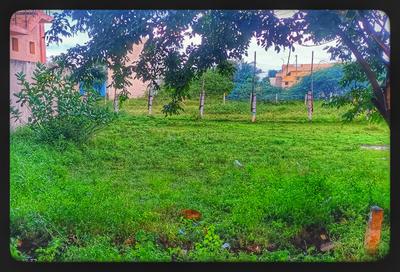 Image of 2250 Sq.ft Residential Plot / Land for sale in Vedarpuliankulam, Madurai for Rs. 3100000