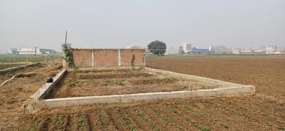Image of 1200 Sq.ft Residential Plot / Land for sale in Ranipur, Patna for Rs. 5200000
