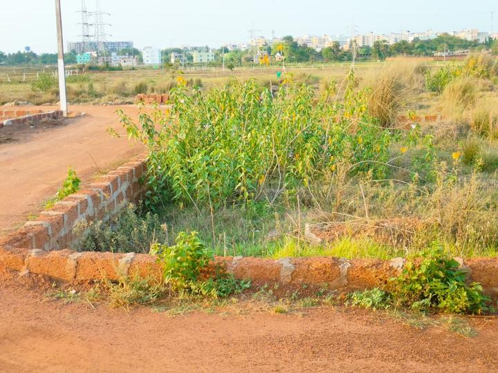 Patrapada Main Image 1