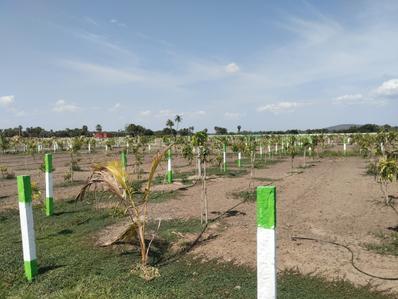 Image of 9600 Sq.ft Residential Plot / Land for sale in Chengalpattu, Chennai for Rs. 2400000