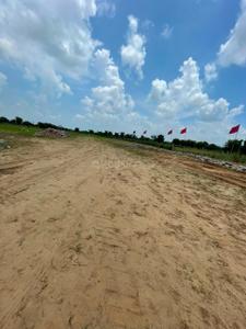 K R PLOTS Plot View 3