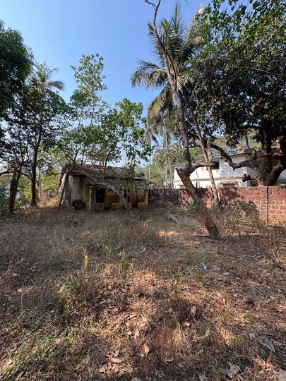Verem Main Image 1