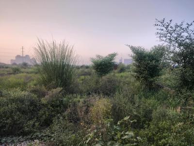 Image of 900 Sq.ft Residential Plot / Land for sale in Noida Extension, Greater Noida for Rs. 3501550