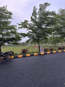 Image of 1800 Sq.ft Residential Plot / Land for sale in Sri Rajeswari Dwaraka, Bhogapuram, Visakhapatnam for Rs. 3600000