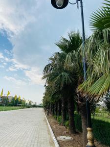 Image of 1200 Sq.ft Residential Plot / Land for sale in PR7 Airport Road, Zirakpur for Rs. 6990000
