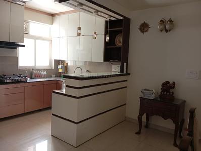 Kitchen Image of 2550 Sq.ft 4 BHK Apartment / Flat for sale in CGHS Green Home CGHS, Sector 52 Gurgaon for Rs. 30000000