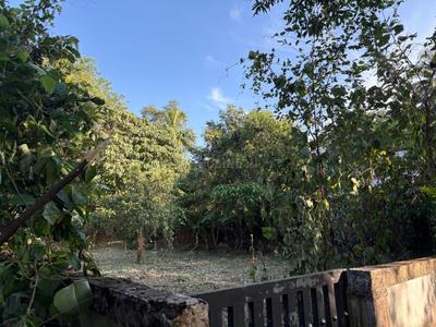 Image of 4356 Sq.ft Residential Plot / Land for sale in Velappaya, Killannur, Thrissur for Rs. 5750000