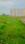 Arjunganj More Images 2