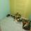 Iyyappanthangal  Bedroom 2