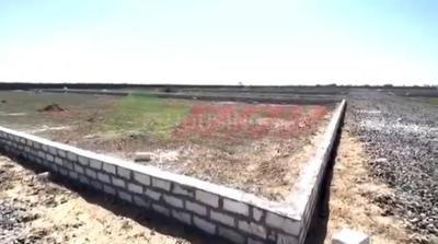 Fedara Plot View 3