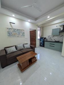 Hall Image of 500 Sq.ft 1 BHK Apartment / Flat for rent in Jagatpura Jaipur for Rs. 19000