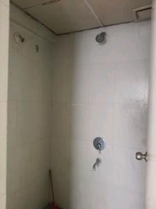 Common Bathroom Image of 585 Sq.ft 1 BHK Apartment / Flat for sale in Lodha Casa Rio, Palava Phase 1 Thane for Rs. 3150000