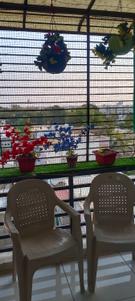 Balcony Image of 1200 Sq.ft 2 BHK Apartment / Flat for rent in Antra Himalaya Flats, Shanti Nagar Nadiad for Rs. 12000