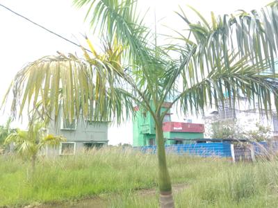 Image of 1180 Sq.ft Residential Plot / Land for sale in Vriddhi Fresco Fountain City, Sankharipota, Raypur for Rs. 550000