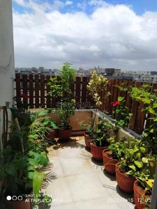 Balcony Image of 638 Sq.ft 1 BHK Apartment / Flat for sale in Venture Namo Insperia, Chikhali Pune for Rs. 3500000