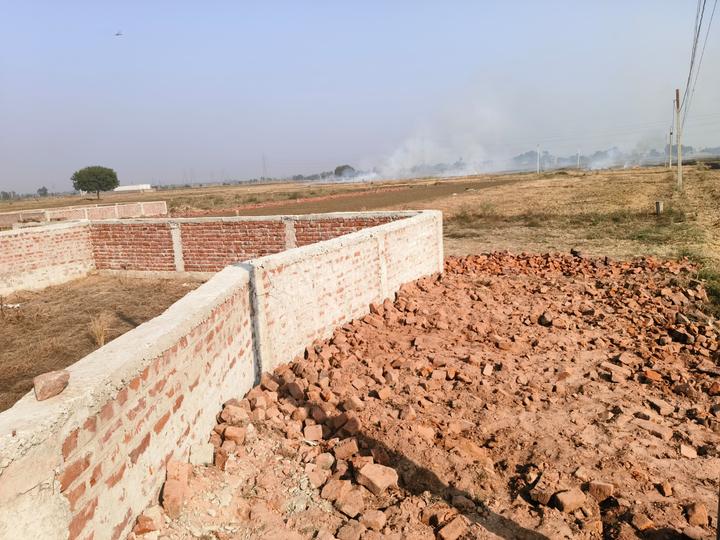 Chirora Main Image 1