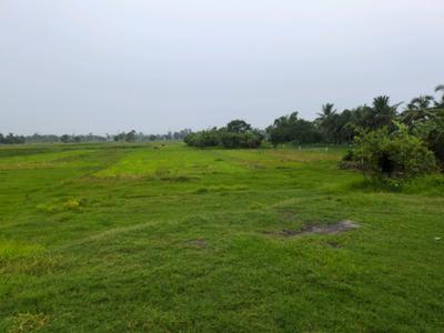 Golden city 2 plot Plot View 3
