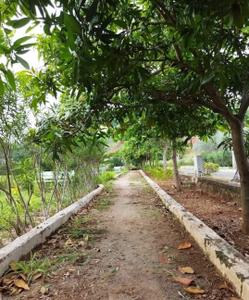 Image of 1400 Sq.ft 2 BHK Apartment / Flat for rent in Madhurawada, Visakhapatnam for Rs. 10000