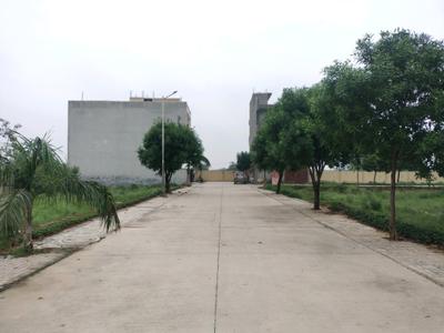 Soha Neal City Internal Roads 2
