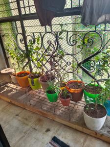 Balcony Image of 860 Sq.ft 1 RK Apartment / Flat for sale in Panvelkar Gardens, Ambernath West Ambernath for Rs. 5000000