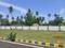 Padappai Main Image 1