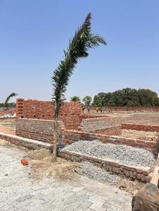 Sithauli Kala Plot View 1