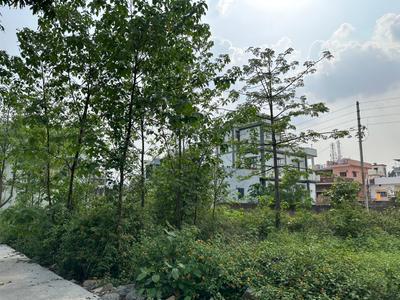 Balawala Plot View 3