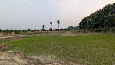 Karmali chawk Plot View 2