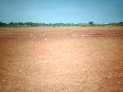 Image of 1089 Sq.ft Residential Plot / Land for sale in Pen, Raigad for Rs. 208500